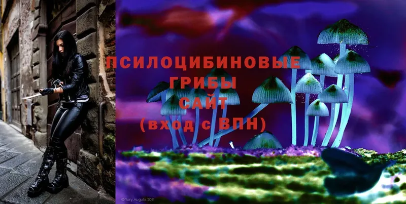 хочу наркоту  Духовщина  Галлюциногенные грибы Magic Shrooms 